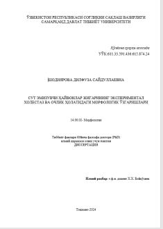 Сут эмизувчи ҳайвонлар жигарининг экспериментал холестаз ва очлик ҳолатидаги морфологик ўзгаришлари