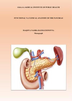 Functional va clinical anatomy of the pancreas