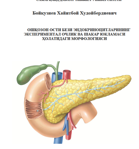 Ошқозон ости бези эндокриноцитларининг  экспериментал очлик ва шакар юкламаси ҳолатидаги морфологияси