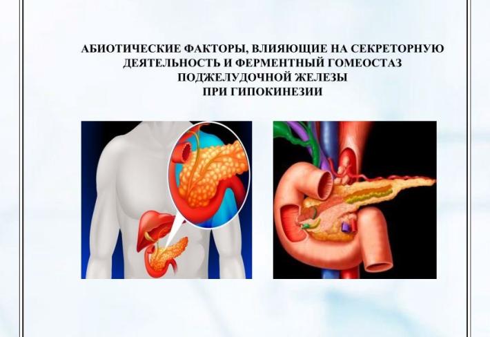 АБИОТИЧЕСКИЕ ФАКТОРЫ, ВЛИЯЮЩИЕ НА СЕКРЕТОРНУЮ ДЕЯТЕЛЬНОСТЬ И ФЕРМЕНТНЫЙ ГОМЕОСТАЗ ПОДЖЕЛУДОЧНОЙ ЖЕЛЕЗЫ ПРИ ГИПОКИНЕЗИИ