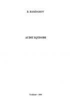 Audit iqtisodi
