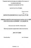 Ривожланаётган мамлакатларда хусусий пенсия фондларининг тараққиёти