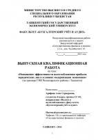 Выпускная квалификационная работа