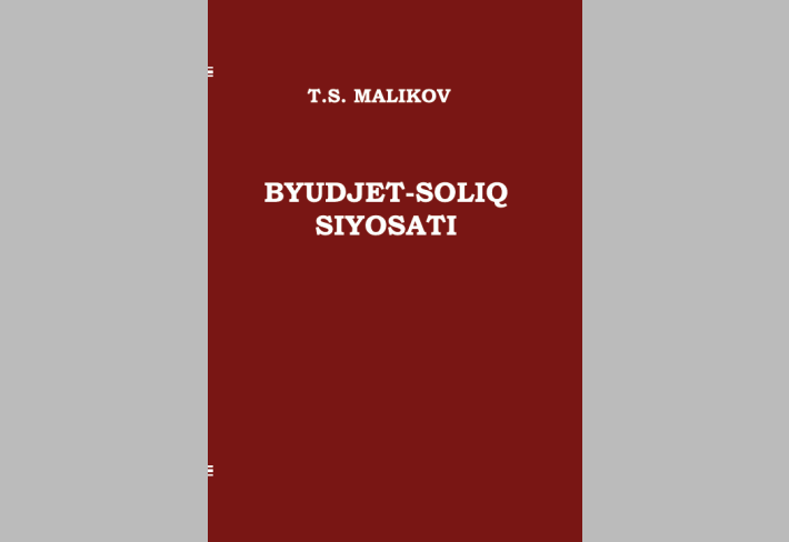 Budjet-soliq siyosati