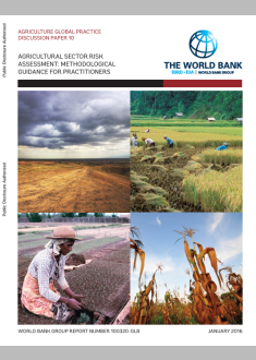 AGRICULTURE GLOBAL PRACTICE  DISCUSSION PAPER 10