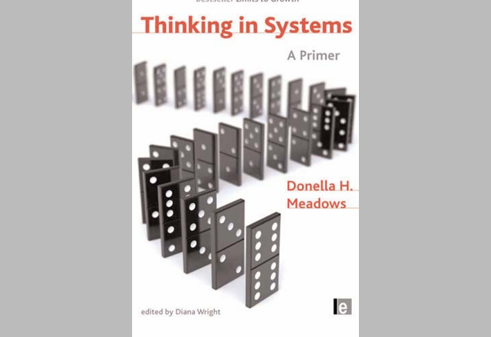 Thinking in Systems