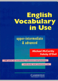 ENGLISH GRAMMAR IN USE
