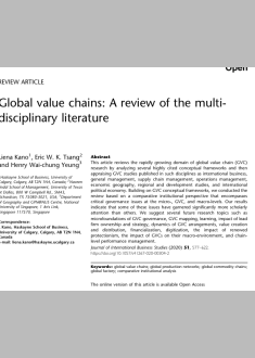 Global value chains: A review of the multi disciplinary literature