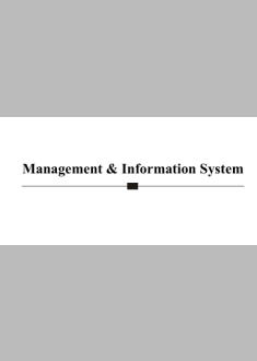 Management & Information System