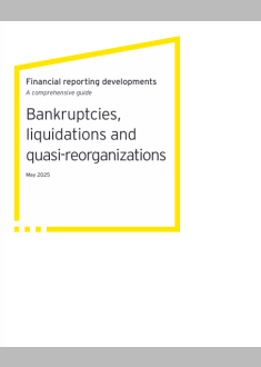 Bankruptcies,  liquidations and  quasi-reorganizations 