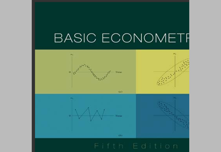 Basic econometrics /